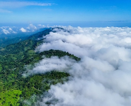 নীলগিরির সুন্দর দৃশ্য। বান্দরবানের সুন্দর দৃশ্য।নীলগিরি, বান্দরবান, বাংলাদেশ। 🇧🇩