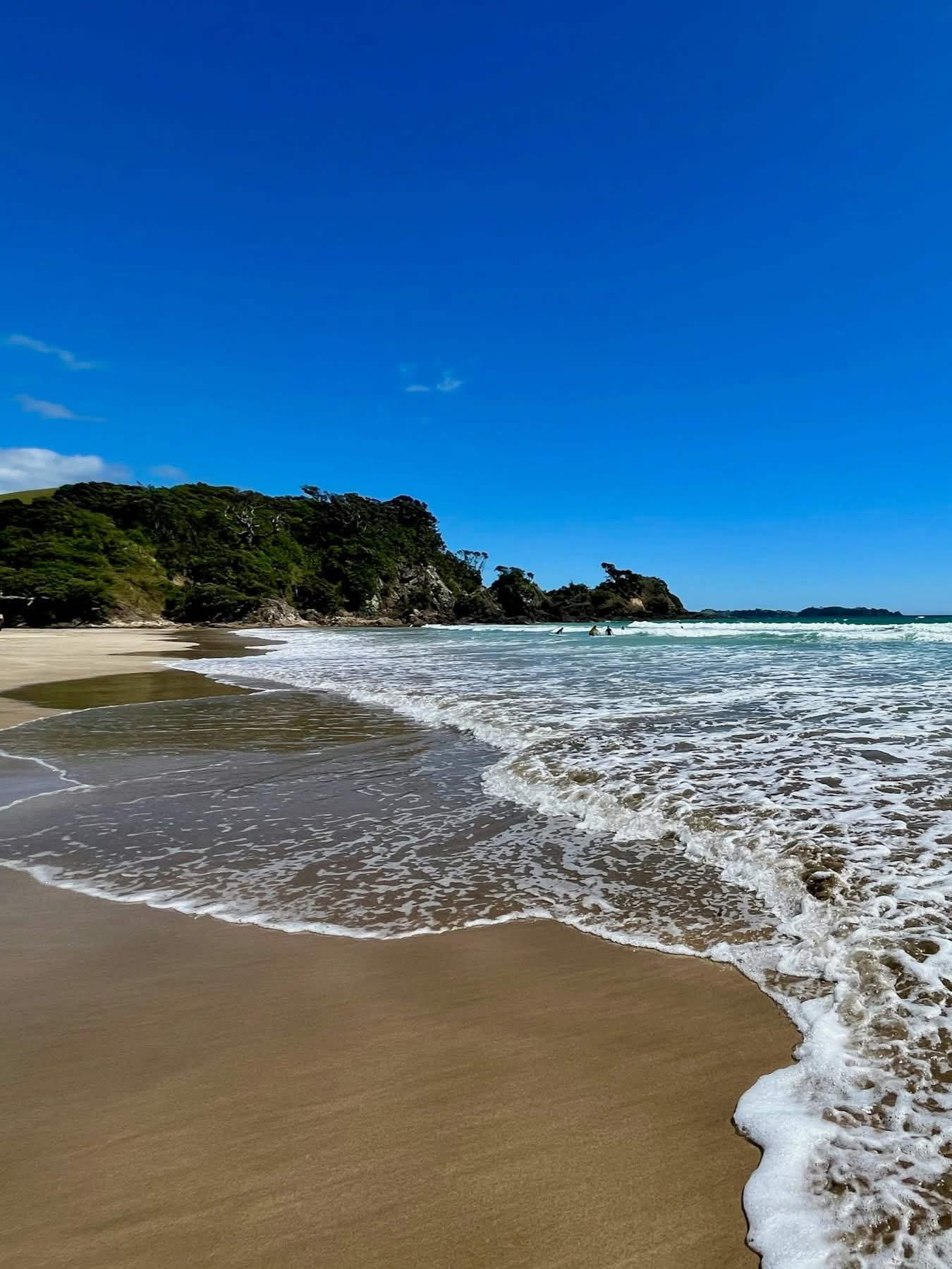 Paihia, North Island, New Zealand.