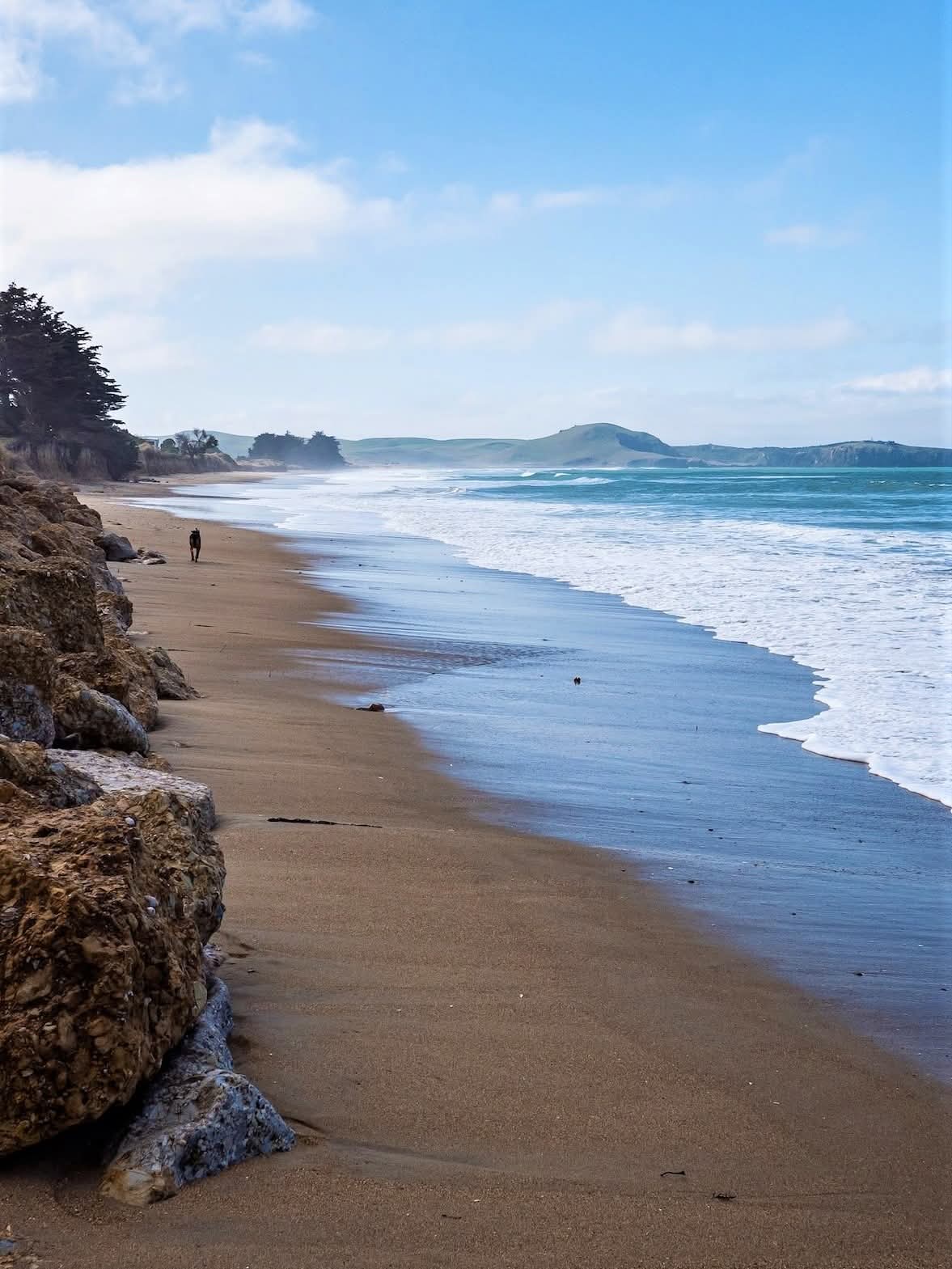 Katiki, Otago, New Zealand.