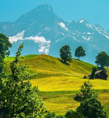 Jungfrau region, Switzerland 🌳