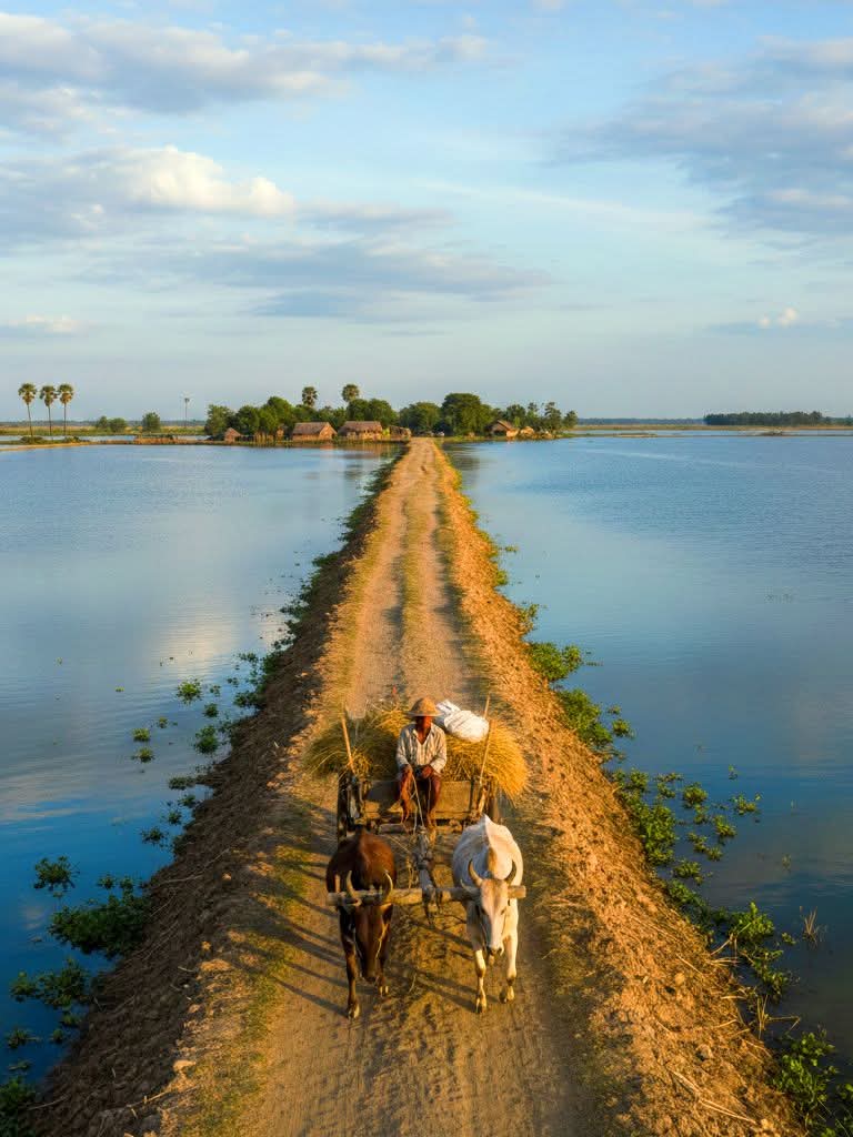 হাওরের খুব সুন্দর একটি ভিউ।