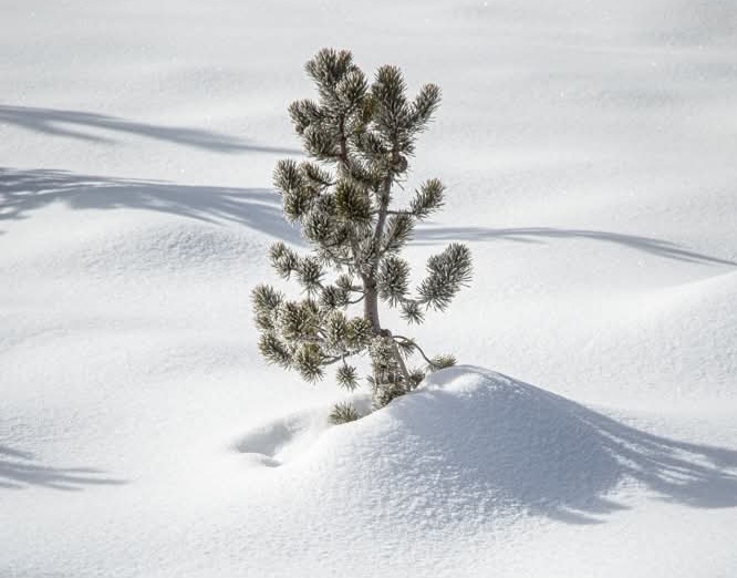 In the depth of winter, I finally learned that within me there lay an invincible summer. — Albert Camus