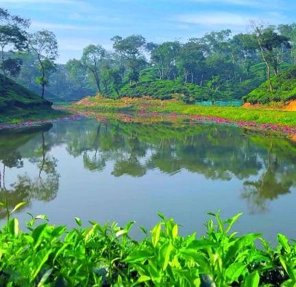 লেকের জলে আকাশের হাসি, চারপাশে সবুজের নীরবতা।