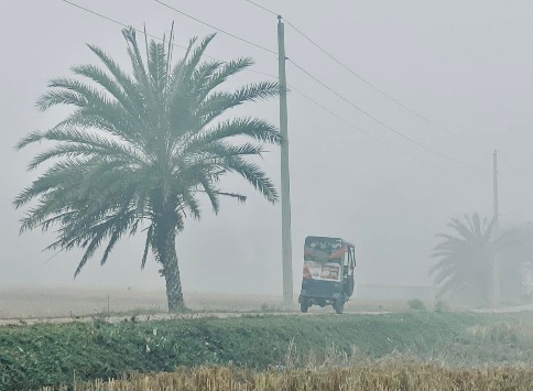 গ্রামের কুয়াশাচ্ছন্ন শীতের সকালের সুন্দর দৃশ্য।