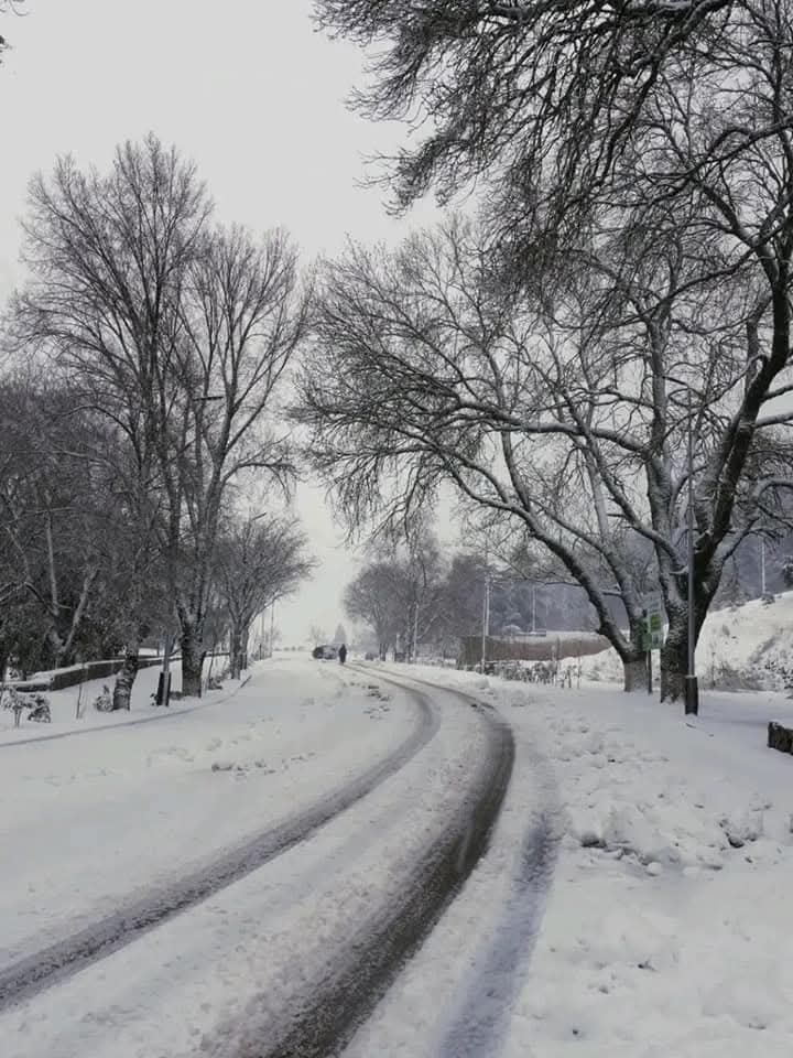 It is snowing in Ifrane, Morocco 🇲🇦❄️