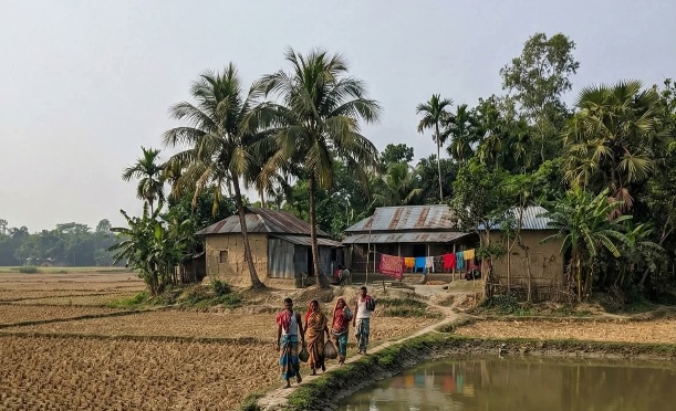 গ্রাম বাংলার অসাধারন সৌন্দর্য।♥️