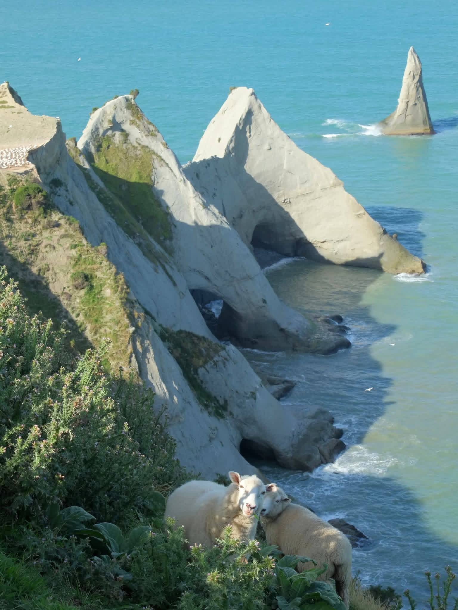 Cape Kidnappers, New Zealand.