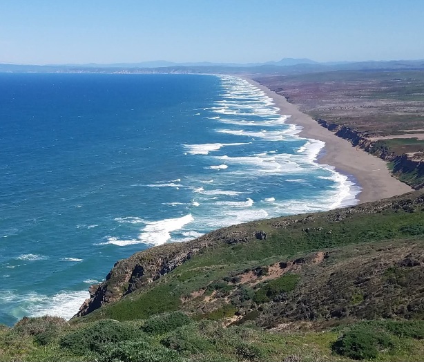 Point Reyes National Seashore, California, USA.