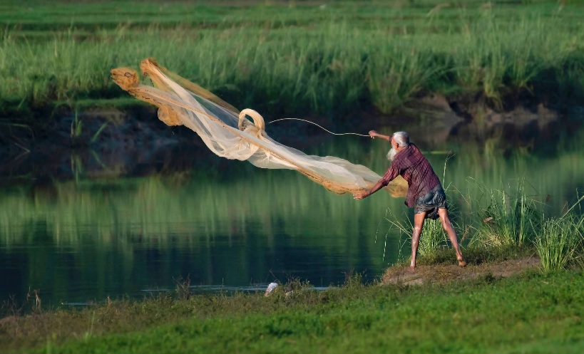 নদীতে জাল ফেলে মাছ ধরার সুন্দর দৃশ্য।