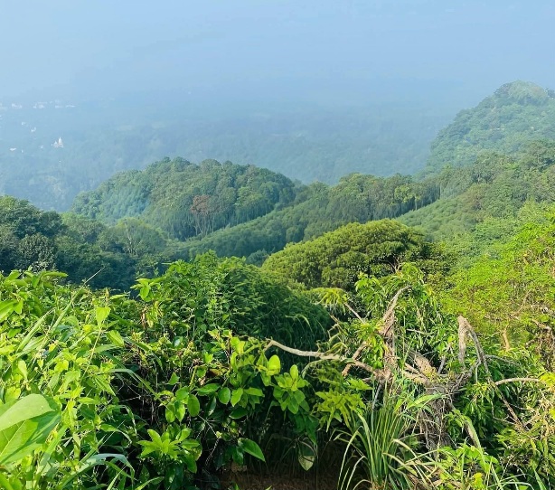 সীতাকুণ্ড চন্দ্রনাথ পাহাড়ের ভাঁজে ভাঁজে নান্দনিক সব ভিউ দেখে মুগ্ধ!❤️