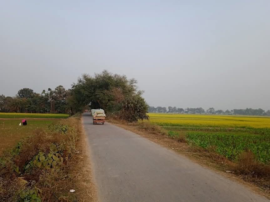 প্রকৃতি মানেই শান্তি, সৌন্দর্য আর আত্মার পরশ।