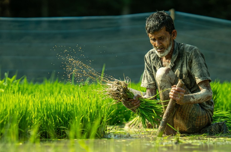 মাটির সাথে জীবনের গল্প।