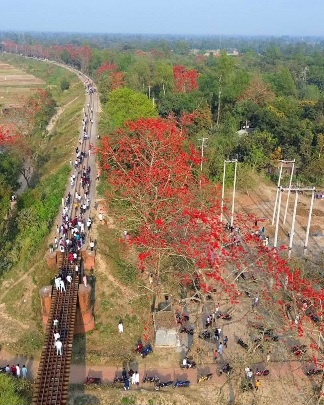বসন্তের হাওয়া লেগেছে...
উল্লাপাড়া, সিরাজগঞ্জ, বাংলাদেশ।
