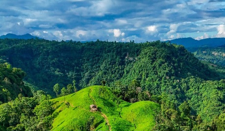 জুমচাষ, থানচি, বান্দরবান, বাংলাদেশ।🇧🇩
#জুমচাষ #থানচি #বান্দরবান #ফিউলুক #বাংলাদেশ