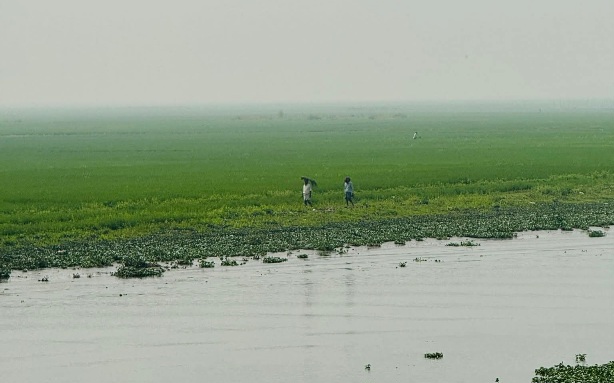 বসন্তের সকালের সুন্দর দৃশ্য। 🍀