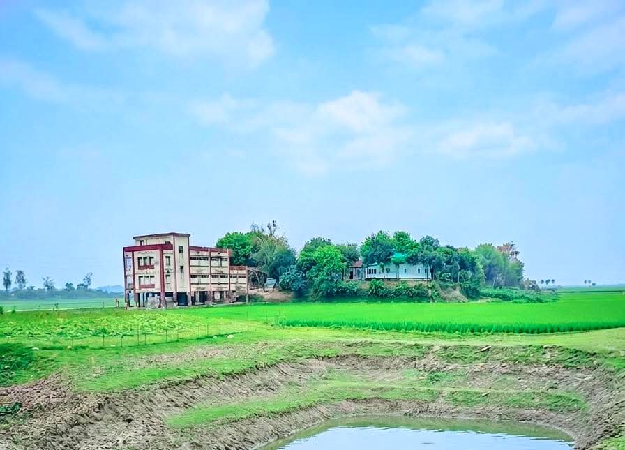 প্রকৃতির ক্যানভাসে আঁকা প্রিয় এক টুকরো গ্রাম।🏡
