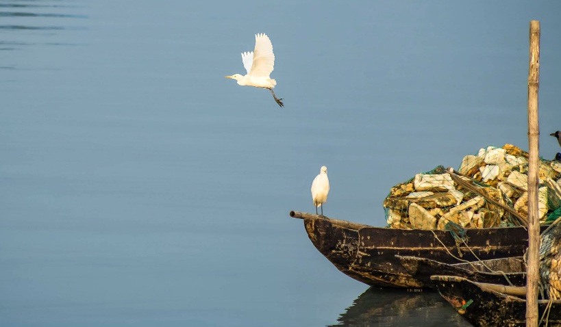 হৃদয়ের লেনাদেনা এ পাড়েতে আর হবে না!