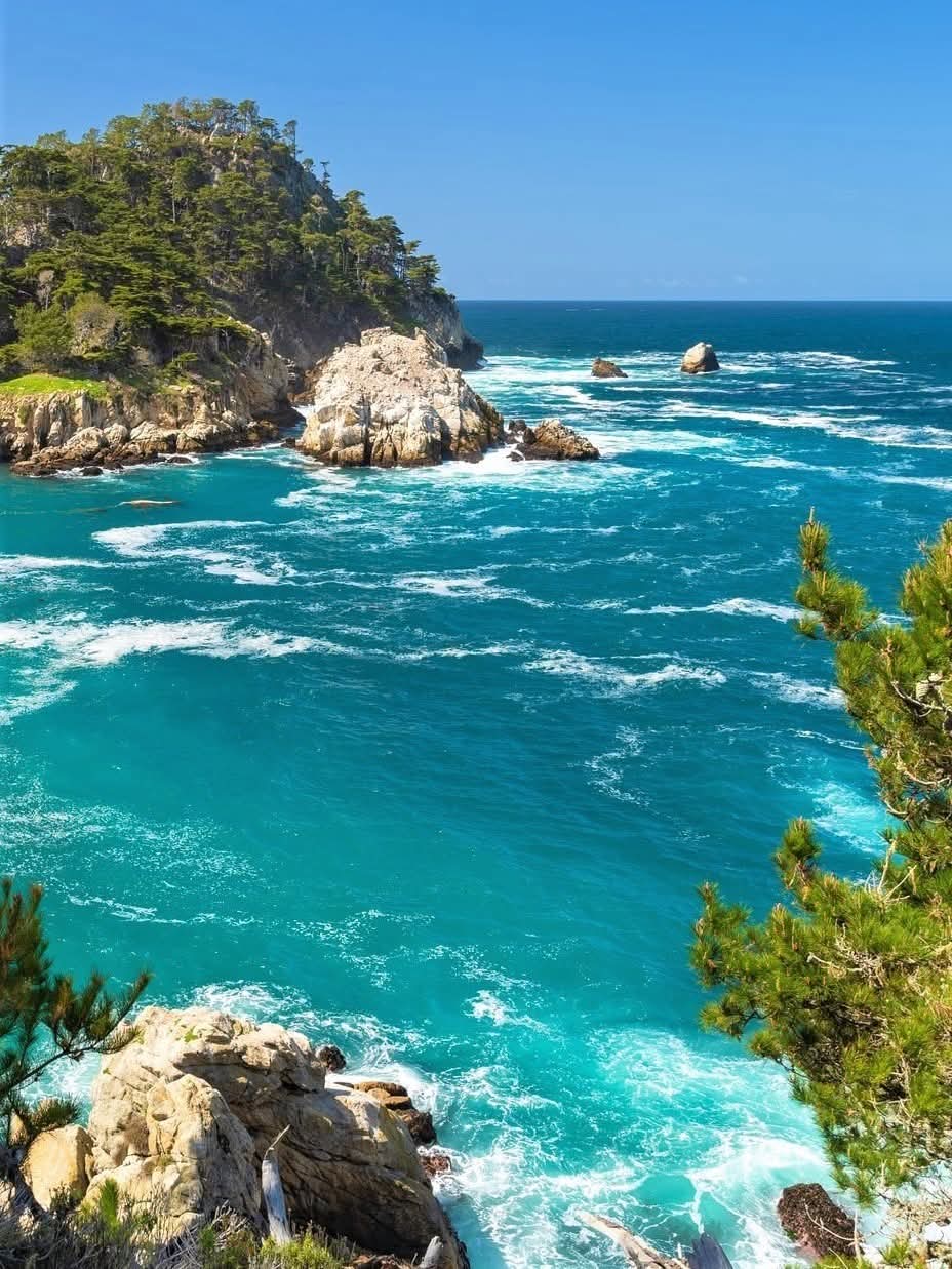 Point Lobos, California-USA.