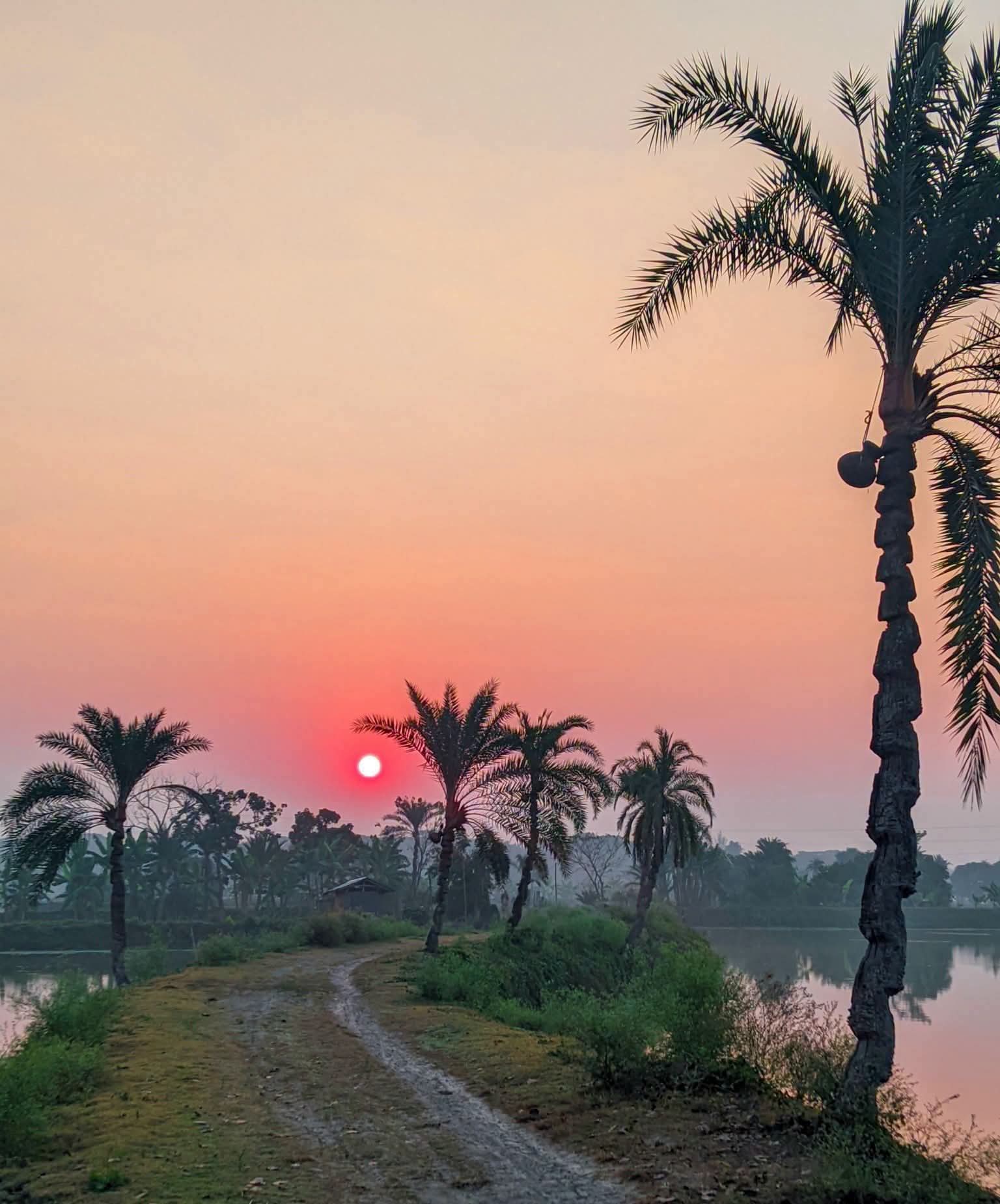 শুভ সকাল।
গ্রাম বাংলার মায়াবী মেঠোপথে।