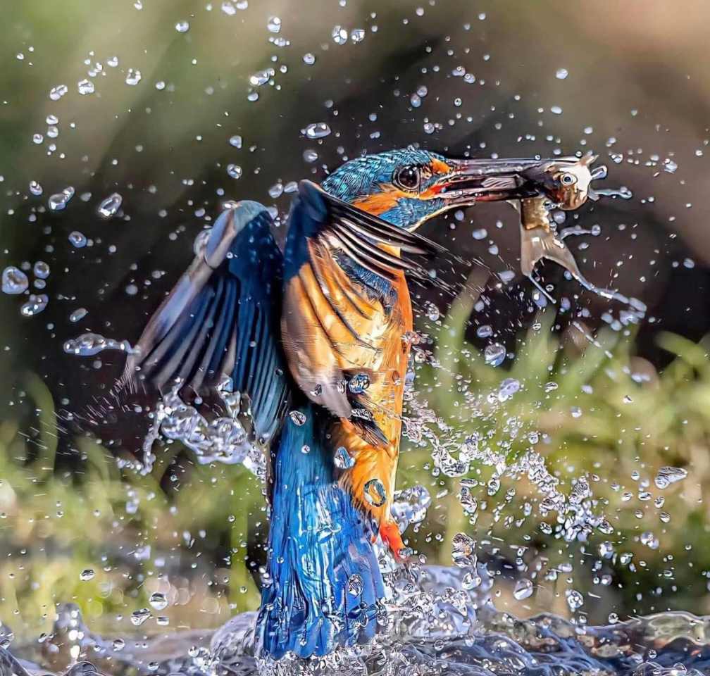 Great fishing skills this one.