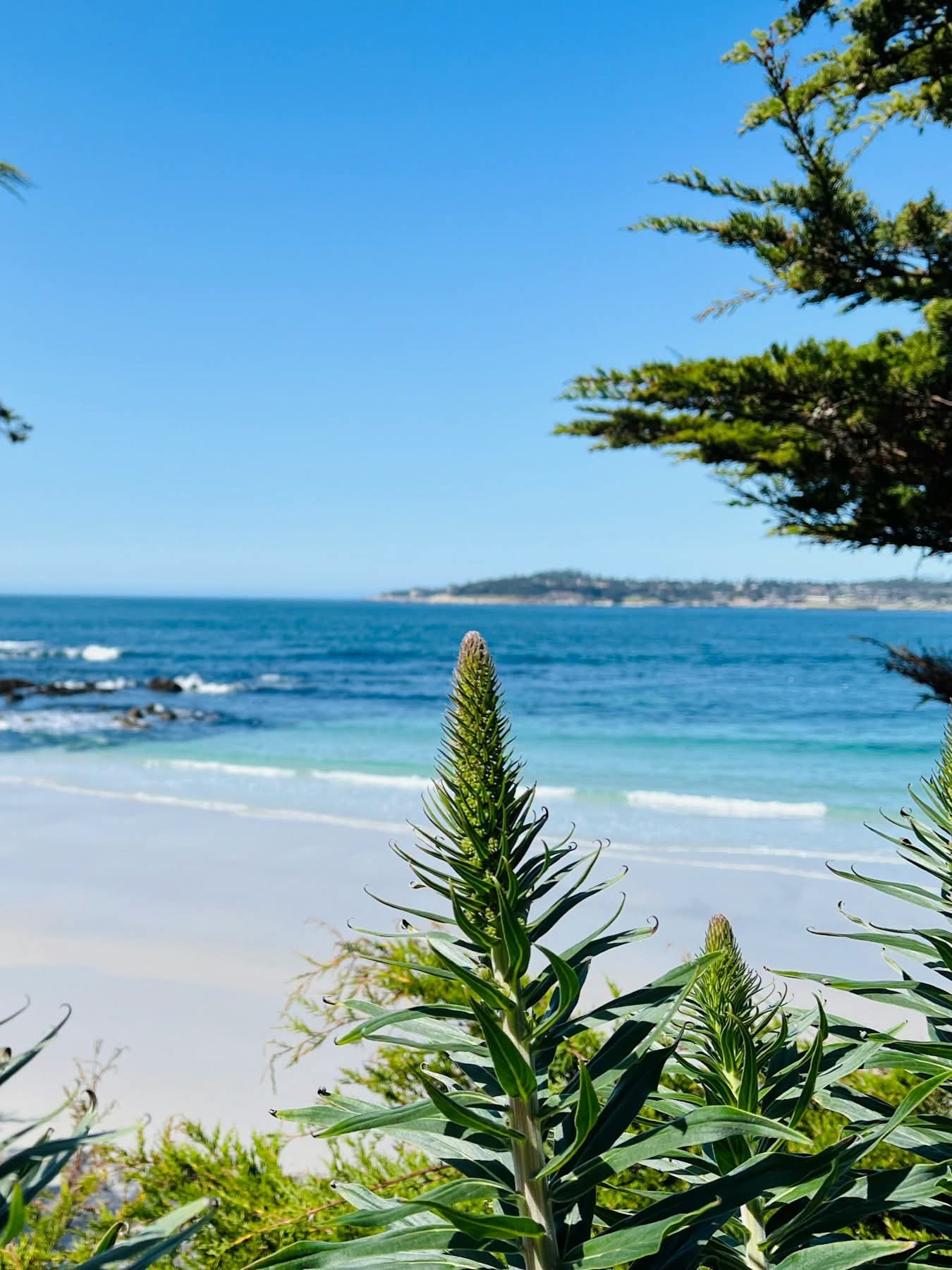 Carmel Point, California-USA.