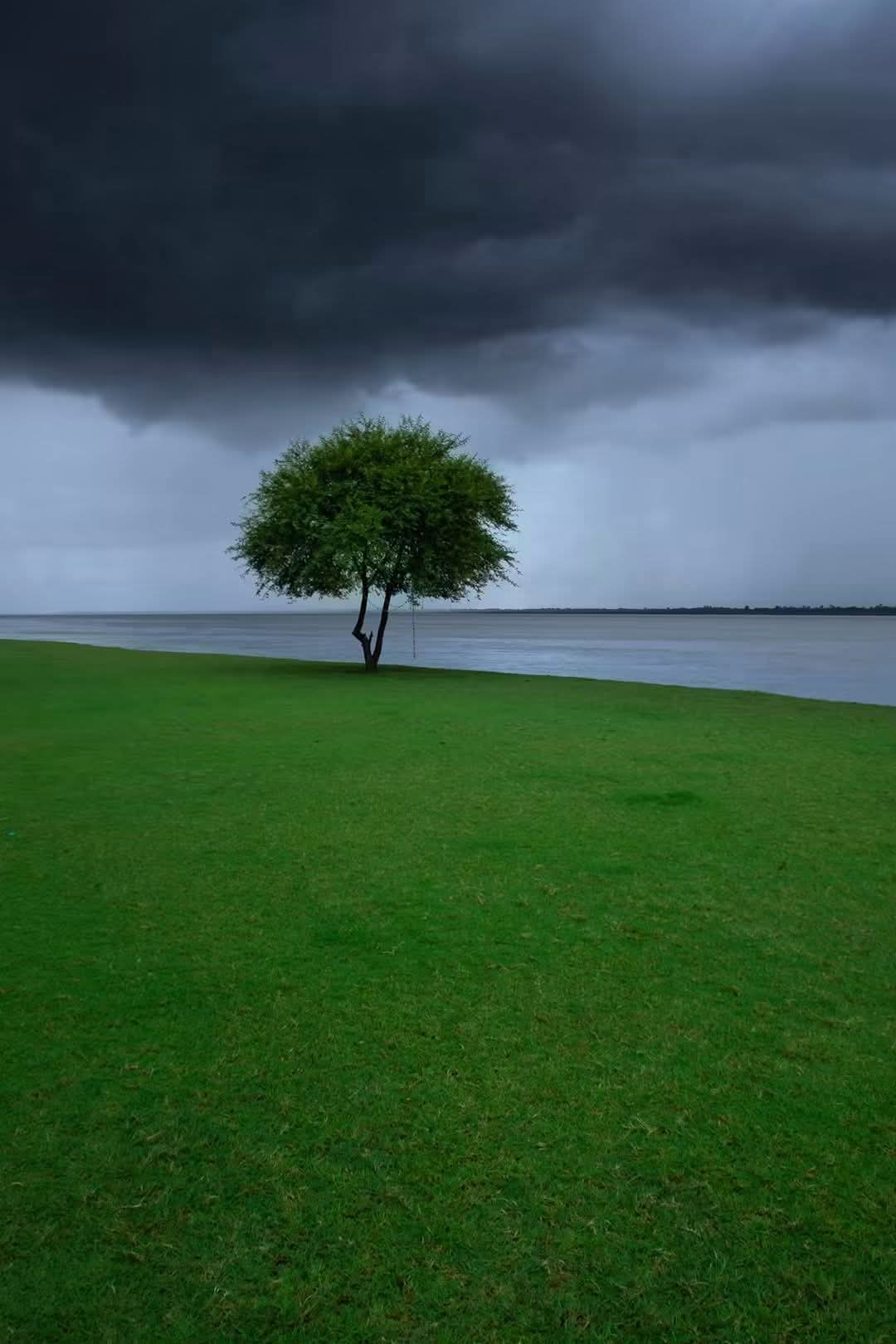 প্রকৃতি একা হলেও সুন্দর।