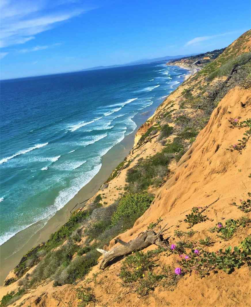 Torrey Pines State Natural Reserve, California, USA.