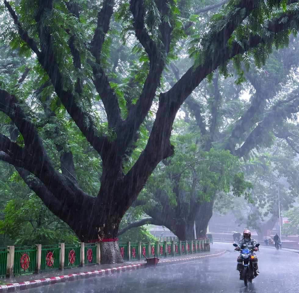 বৃষ্টিতে সিআরবি হিল, চট্টগ্রাম, বাংলাদেশ।🇧🇩☔