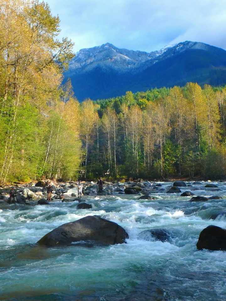 Chilliwack River Provincial Park, British Columbia-Canada.