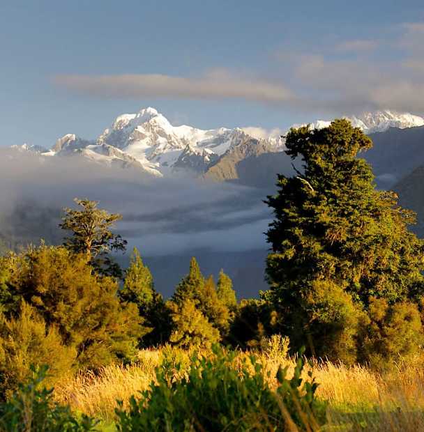 Westland Tai Poutini National Park,South Island-New Zealand.