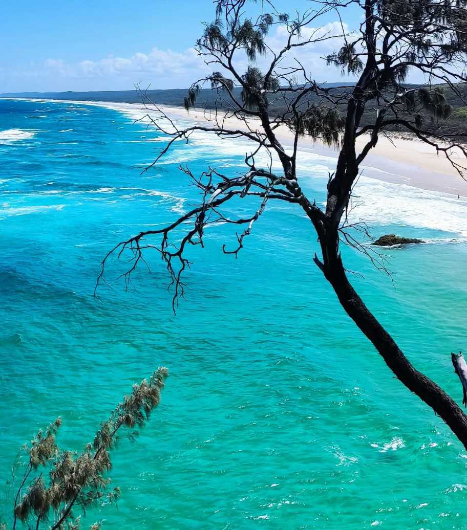 Stradbroke Island, Queensland-Australia.