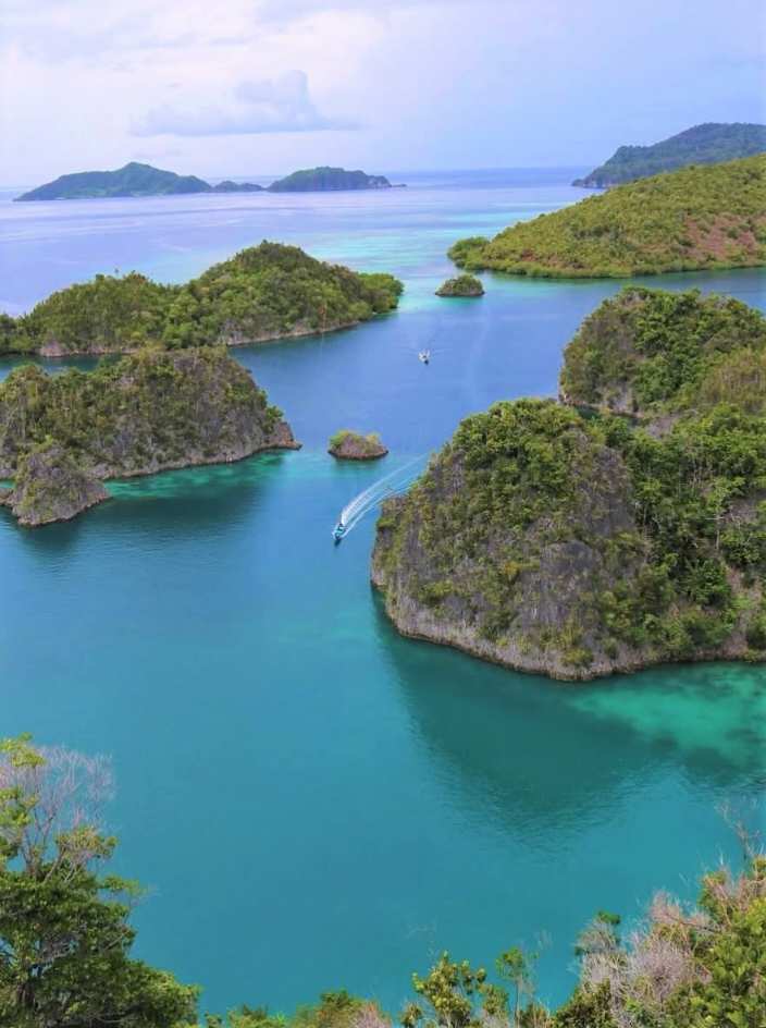 Raja Ampat-Indonesia.