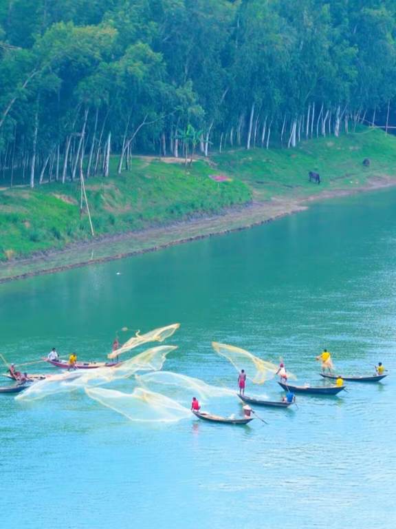 গ্রামবাংলার ঐতিহ্যবাহী খেপলা জালে মাছ ধরার সুন্দর দৃশ্য।