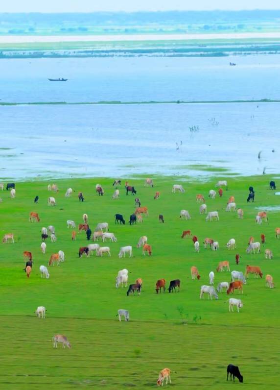 এটা কাশ্মীর নয়! এটা রাজশাহী মিডিল চর!✅
