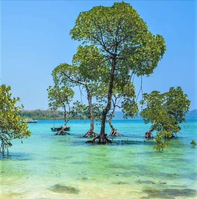 Andaman Islands, Indian Ocean.