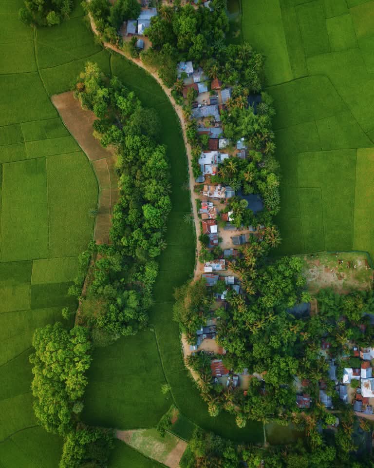 সবুজে ঘেরা ছবির মতো সুন্দর একটি গ্রাম।❤️
