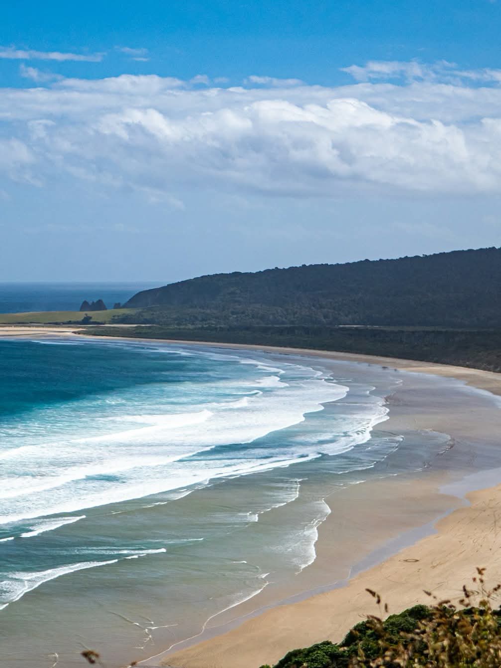 The Catlins Coast, South Island, New Zealand.