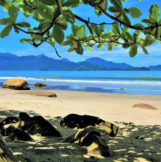 Ubatuba, São Paulo, Brazil.