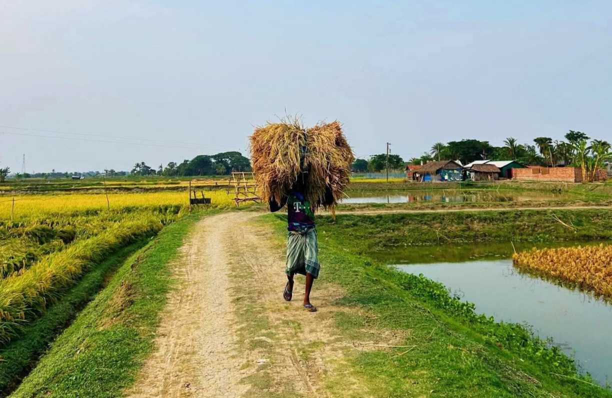 রূপসী গ্রাম বাংলা আর বাস্তব কিছু মানুষের জীবন দ্বারা!