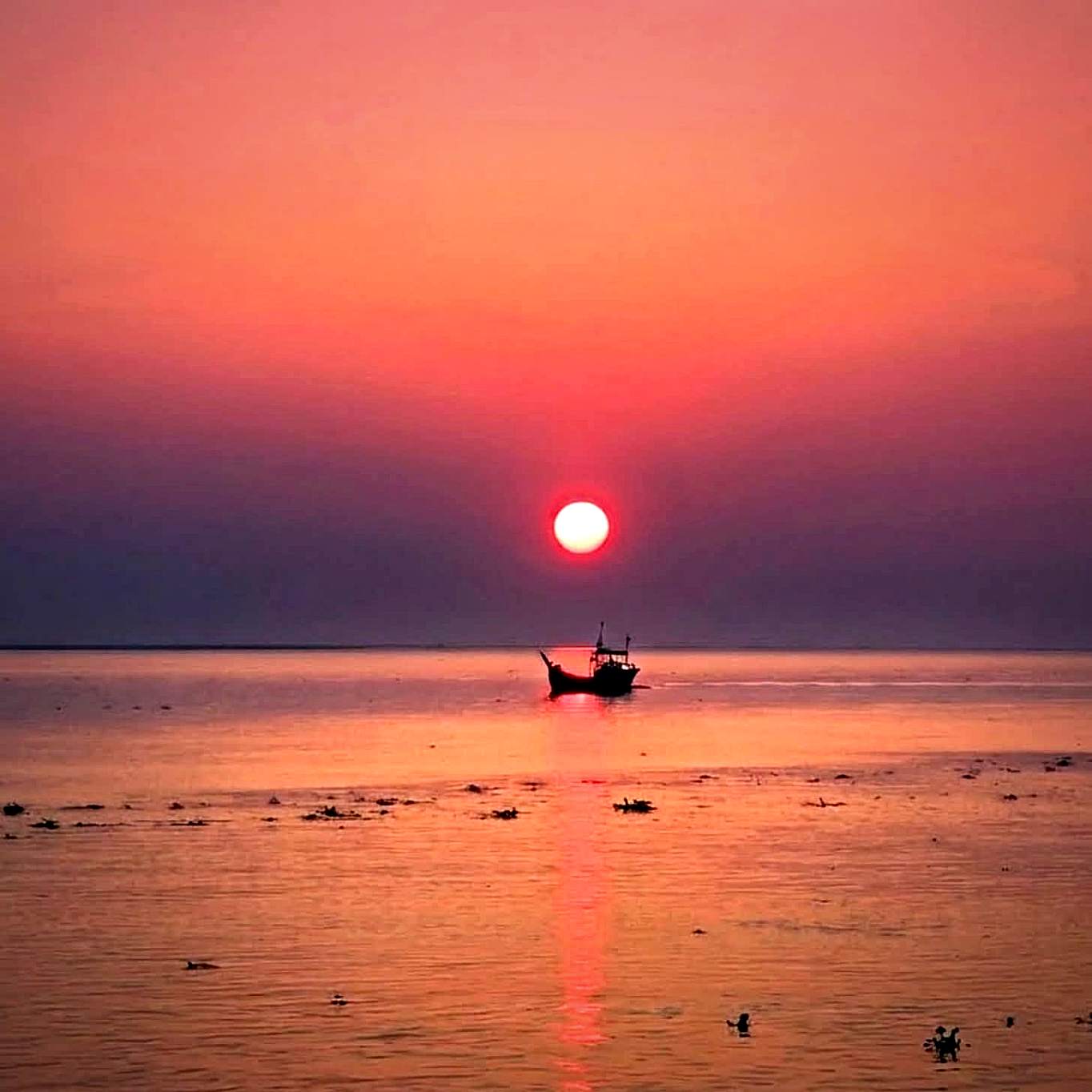 মেঘনা নদী, আলেকজান্ডার, রামগতি, লক্ষ্মীপুর, বাংলাদেশ।💚