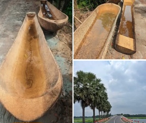 একটা আস্ত তালগাছ দিয়ে ডোঙ্গা নৌকা!